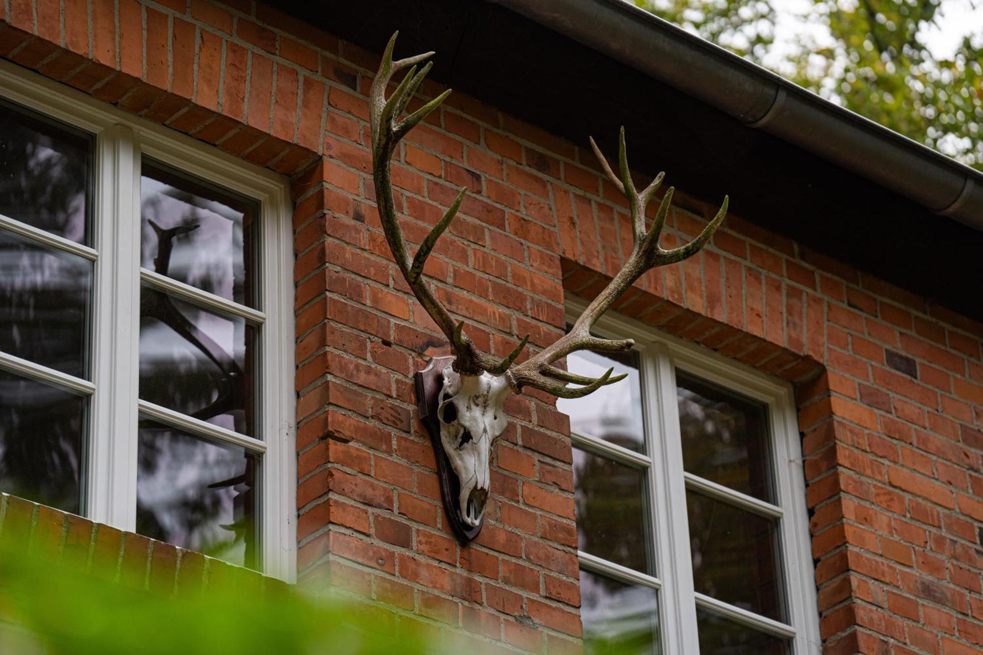 Wald- Und Seeidyll Im Historischen Forsthaus Нойрупин Екстериор снимка
